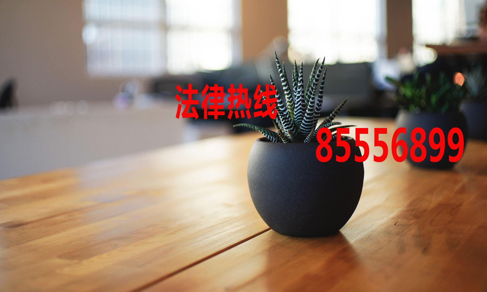 瓯海区律师15356291688_温州市瓯海律师